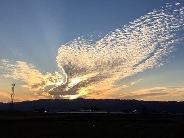 夏季休暇について